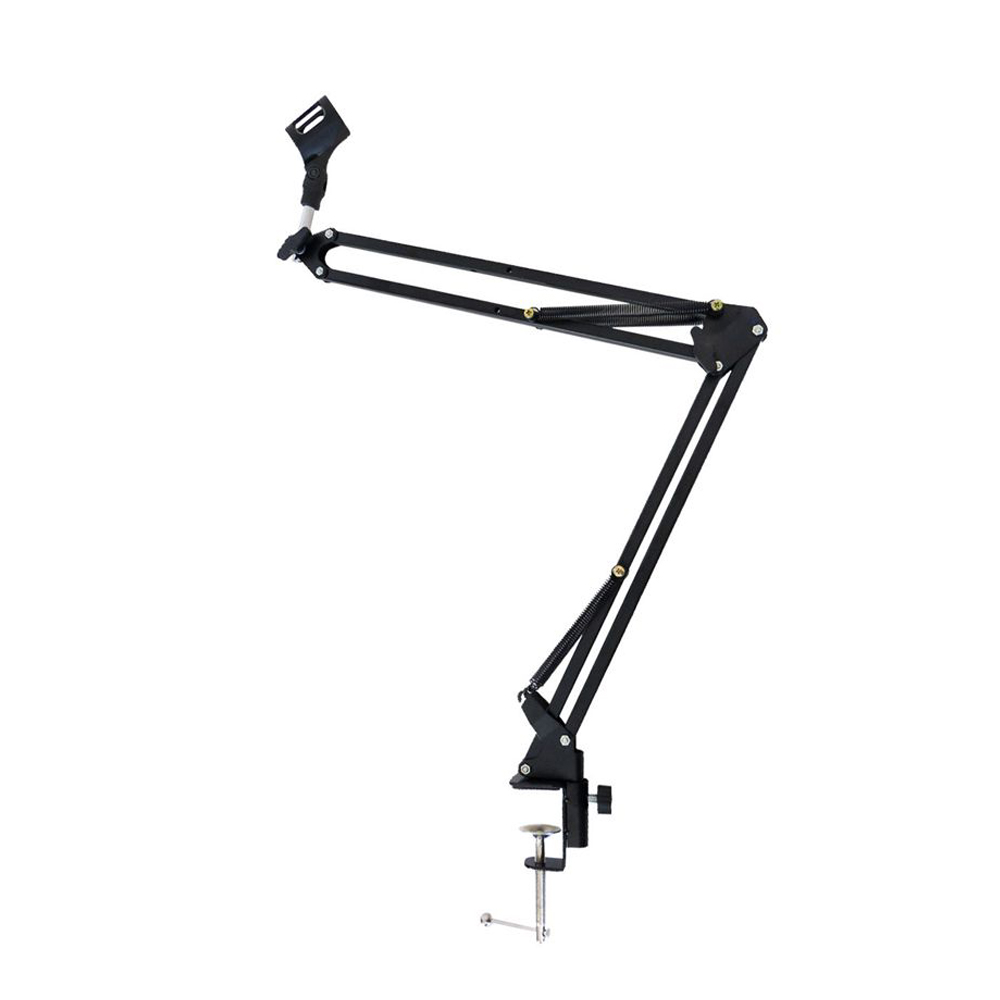 Foldable Metal Extendable Micr - Microphone Arm Boom 评论和价格
